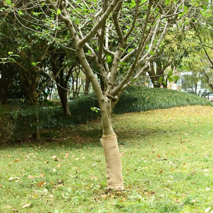 vidaXL - Juterol - 0,5x5 - m - 100% - Jute - 200 - g/m²