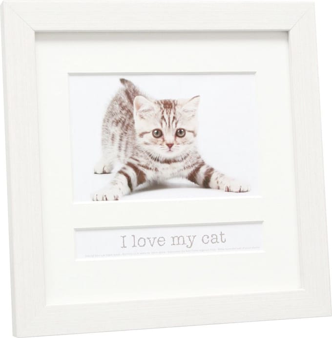Deknudt Frames multifotolijst - wit - CAT - foto 10x15 cm met tekstvak