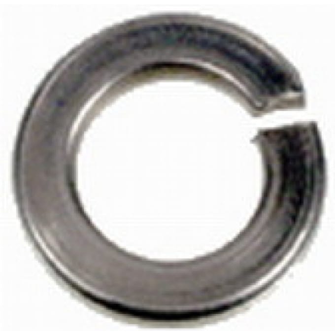 Intergard Veerring M16 RVS DIN 127-B