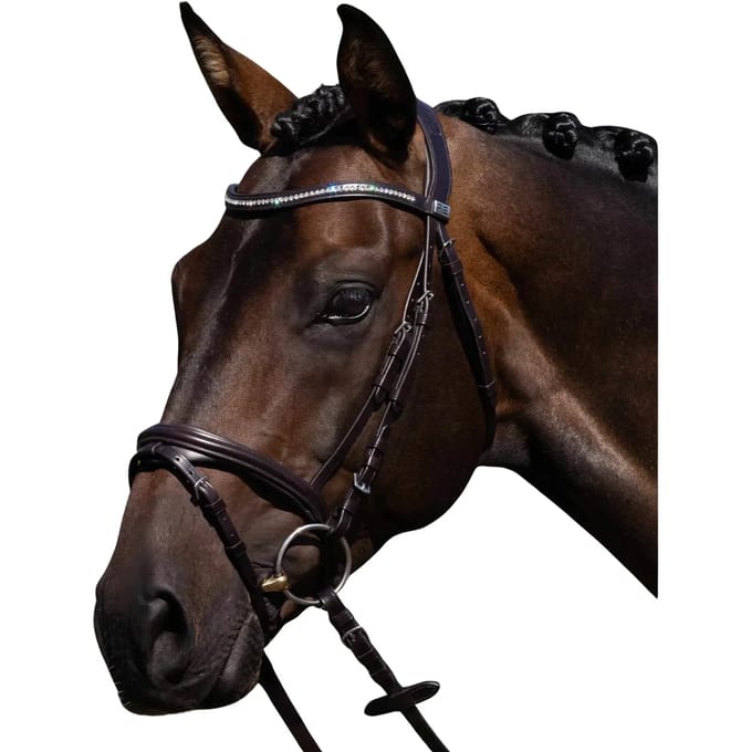 Riem voor paardrijden Premier Equine Rivere