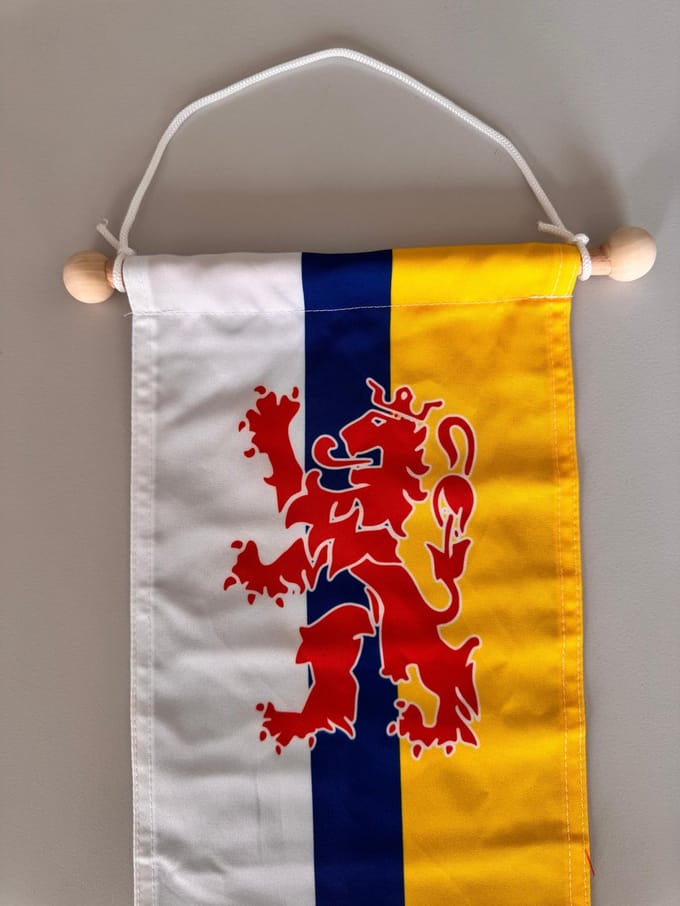 Limburgse Wimpel 20x150cm met stokje