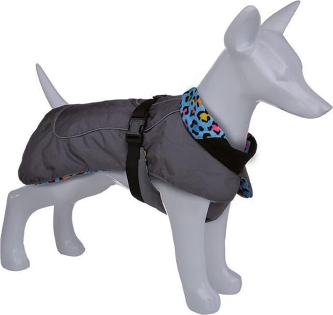 Petlando Happiness Winterjas Hond - Blauw 55cm