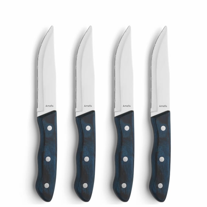 Amefa Hercule 4 delige steakmessenset blauw