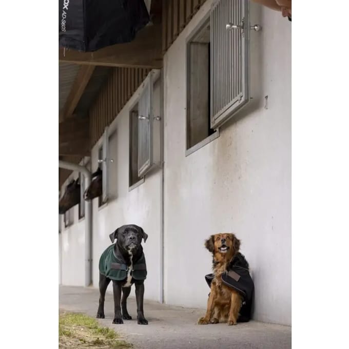 Nylon hondendeken Diego & Louna Teddy