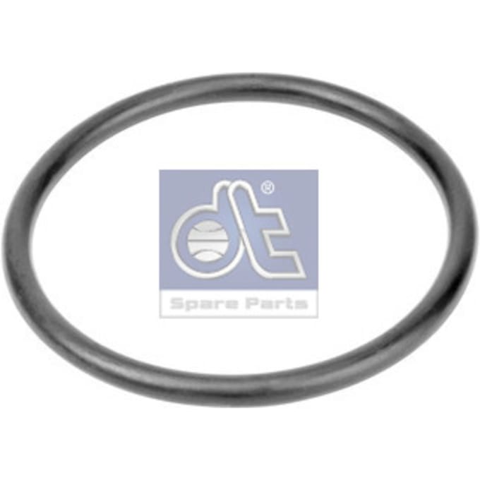 Pakking, waterpomp DT Spare Parts 6.30062
