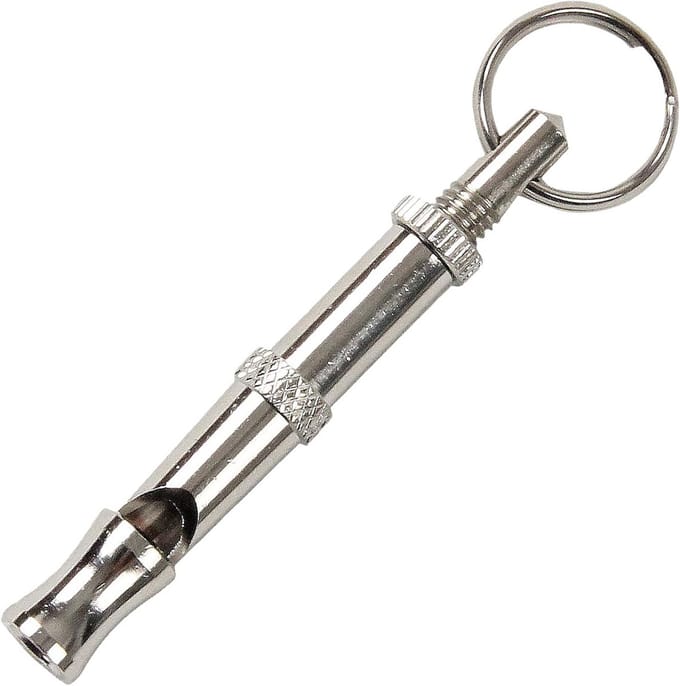 Hondenfluitje - Trainingsfluitje - Hondentraining - Geruisloos voor mensen - 8 cm - Verchroomd