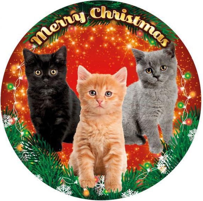 Plenty gifts xmas led light kittens assorti