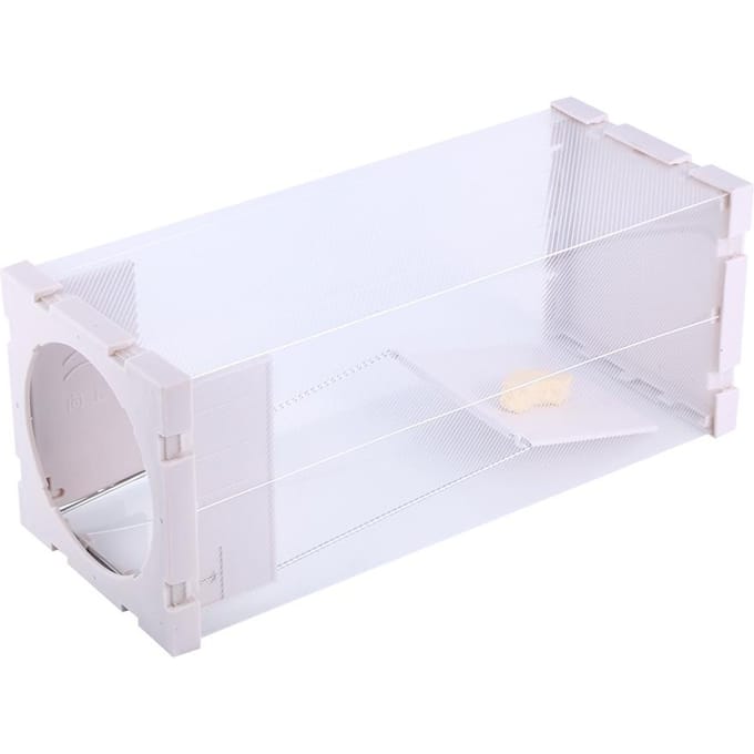 Cage piège à rats sans cruauté, animaux vivants, rongeurs, souris, contrôle des appâts, capture white