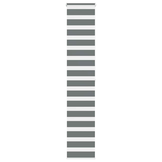 vidaXL - Zebra - rolgordijn - 40x200 - cm - stofbreedte - 35,9 - cm - donkergrijs