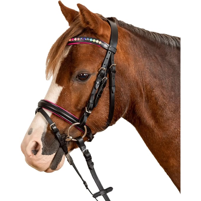 Combiné hoofdstel met neusriem Star Pinky