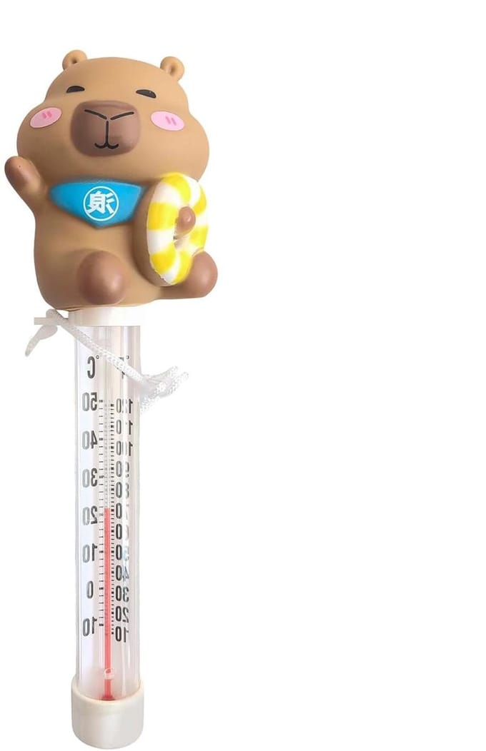 Water Temperatuurmeter - Zwemband Sensor - Zwembad Beheer - Duidelijk Afleesbaar - 23 Centimeter - Wit