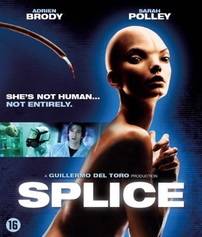 Splice