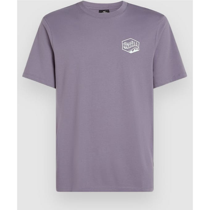 O'Neill Box Logo T-Shirt groen