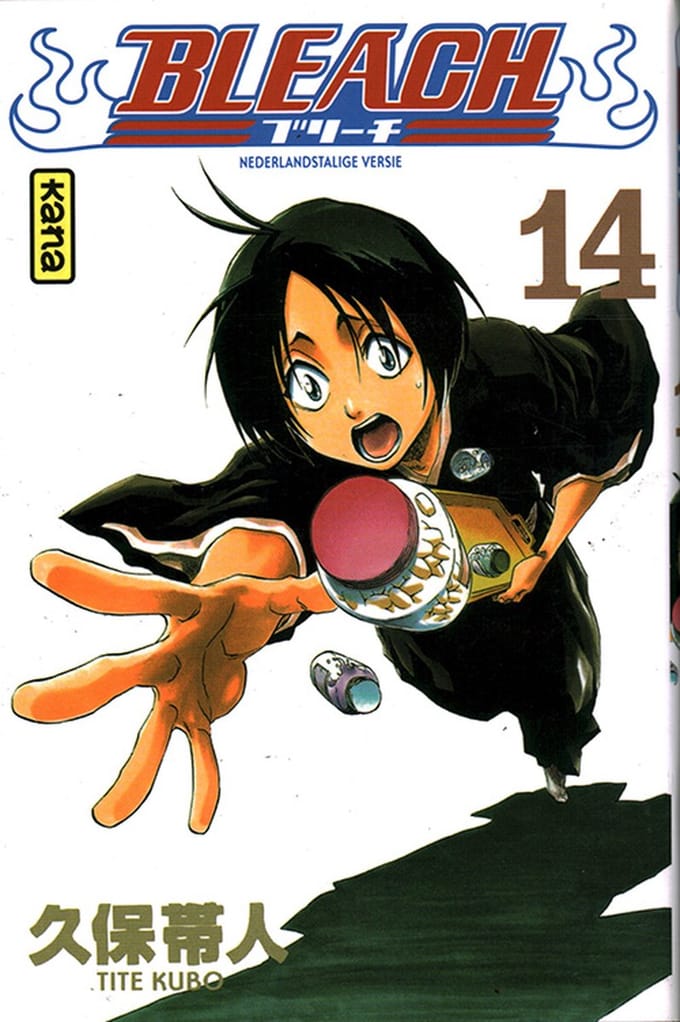 Bleach - 14