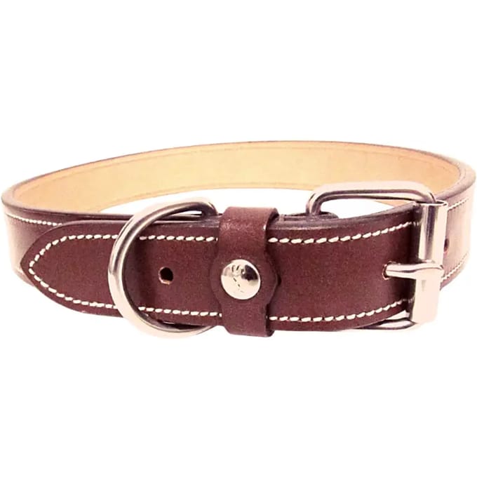 Hondenhalsband Silver Crown Karl
