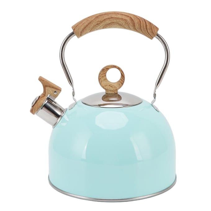 2.5L Fluitketel met Handvat Roestvrij Staal Draagbaar Kookplaat Theepot voor Huishoudelijk Gebruik white