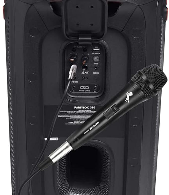 Dynamische Vocale Microfoon voor Karaoke met Afneembare Kabel en Aan/Uit Schakelaar
