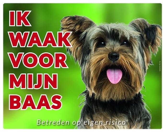 Yorkshire Terrier Waakbord - Ik waak voor mijn baas