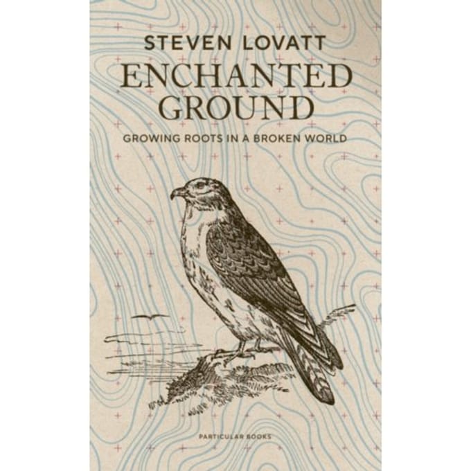 Enchanted Ground - Steven Lovatt