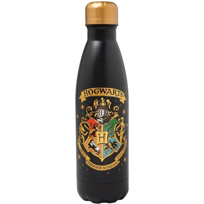 Harry Potter Thermosfles Hogwart 500ml - Ideale Schoolfles