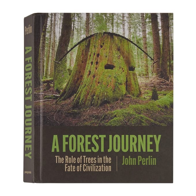 Boek Patagonia A Forest Journey