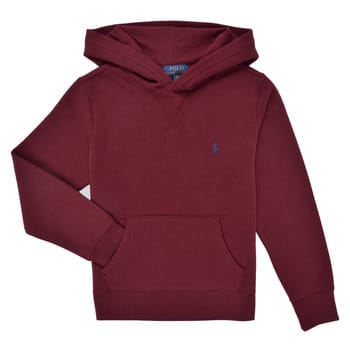 Capuchon sweaters Polo Ralph Lauren LS PO HOOD-TOPS-KNIT