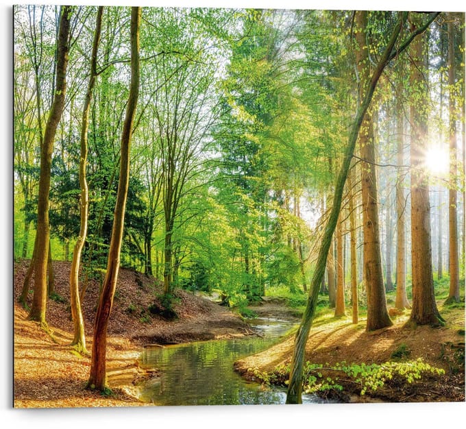 Schilderij Lentebos - 40 x 50 - Hout - REINDERS