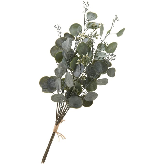 Eucalyptus bos "Ella"