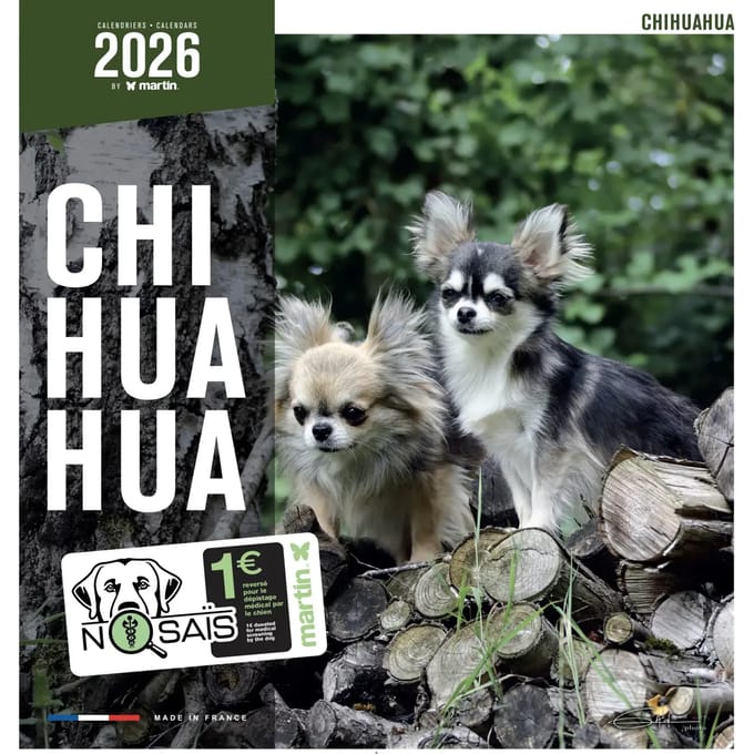 Kalender Martin Sellier Chihuahua