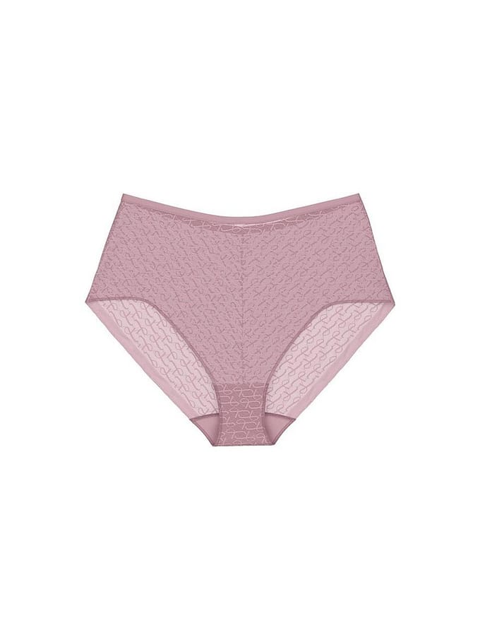 Triumph Maxislip Red Label Signature Sheer