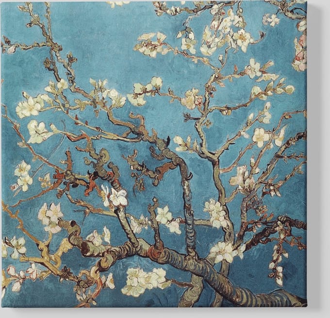 Canvas Schilderij - Amandelbloesem - Van Gogh - 60x60x2 cm