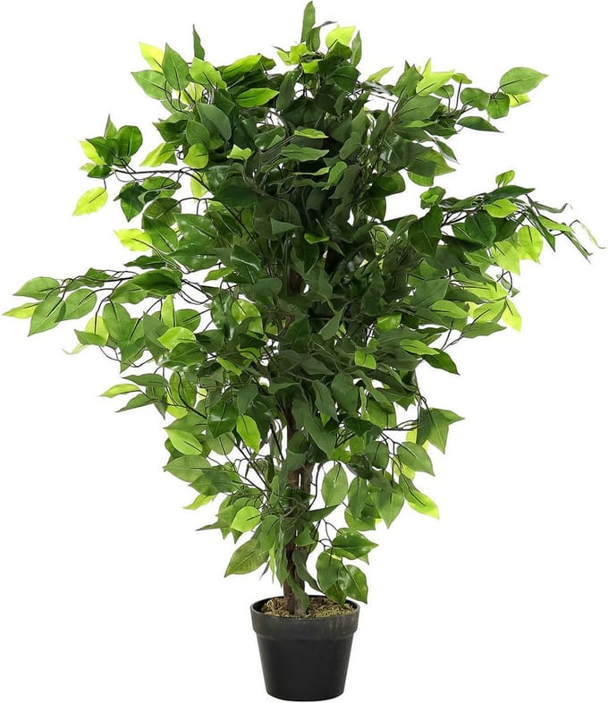 Items Kunstplant Ficus plant in bloempot - Groen - 50 x 90 cm