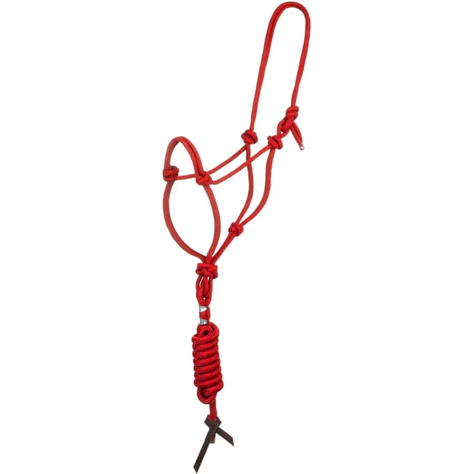 Halster en longe voor paard met knoop Pool's