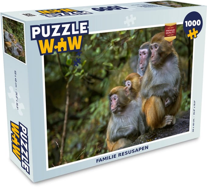 Puzzel Apen - Stenen - Bos - Legpuzzel - Puzzel 1000 stukjes volwassenen