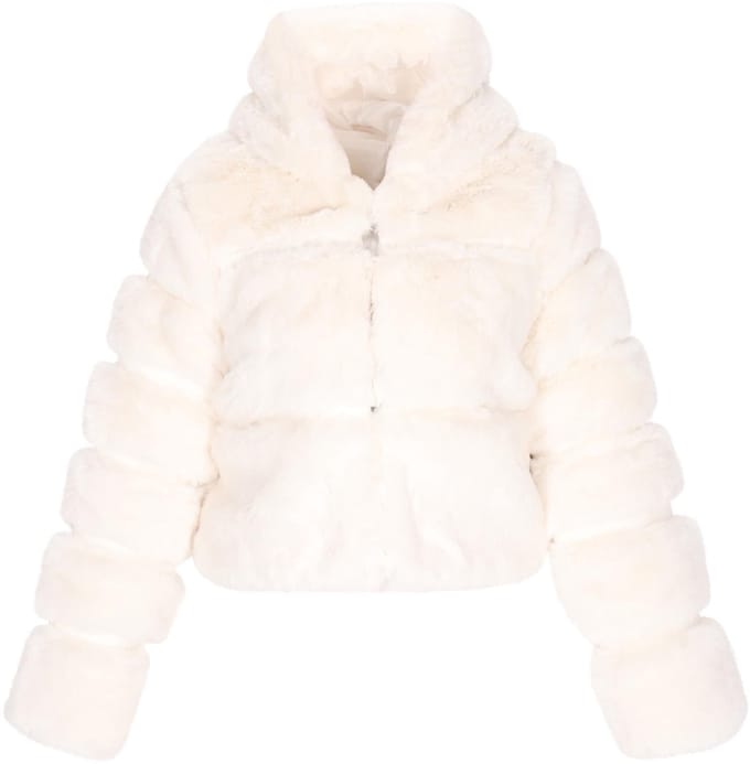 taddy jacket