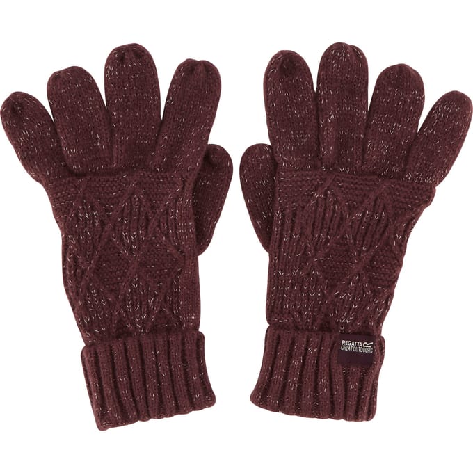 Regatta Dames/dames Winterhandschoenen (Paars)