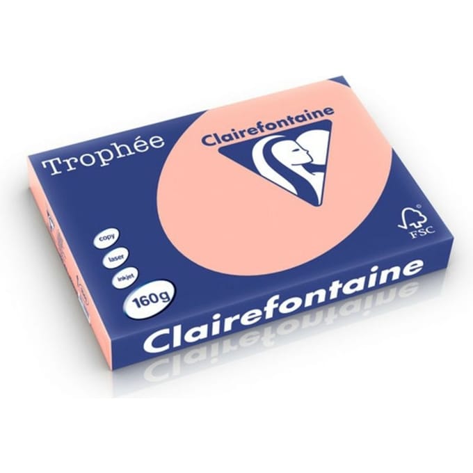 Clairefontaine Zalm A3 Gekleurd papier 160 grams (250 vel)