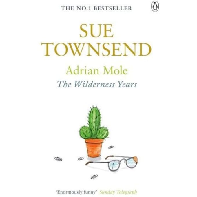 Adrian Mole De Wildernisjaren door Sue Townsend Paperback Boek 9780141046457