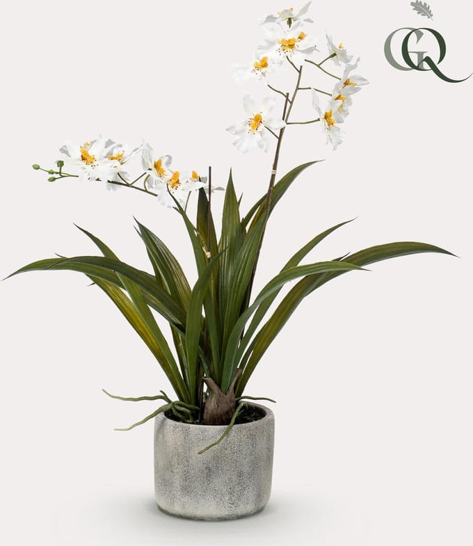 Green Harmony | Kunstplant - Orchidee - Wit - 45cm