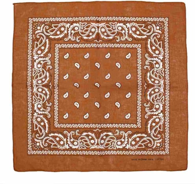 Zac's Alter Ego - Tan Paisley print Bandana - Bruin