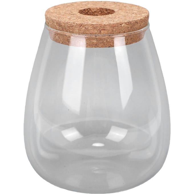 Hydroponische Container Vaas Glas Plant Terrarium Pot voor Bureaus Huizen Tuindecoraties Huis Ovaal white