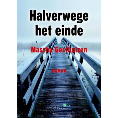 Halverwege Het Einde - Mascha Gesthuizen