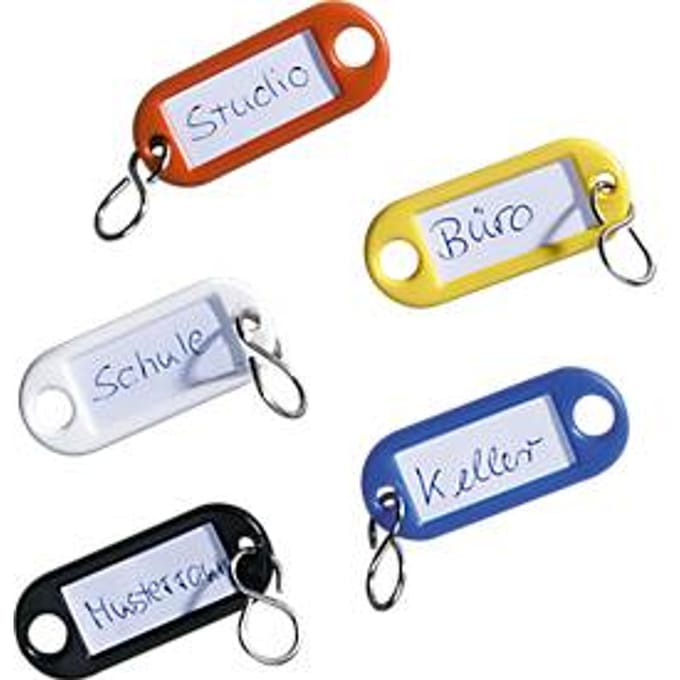 Plastic sleutelhangers met ring, 16 gekleurde onderdelen, kunststof