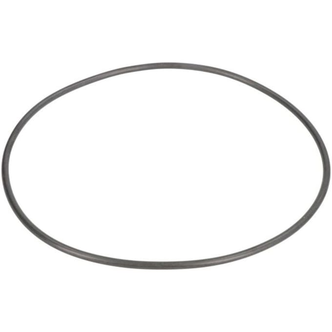 Versnellingsbak o-ring ZF 0634313972ZF