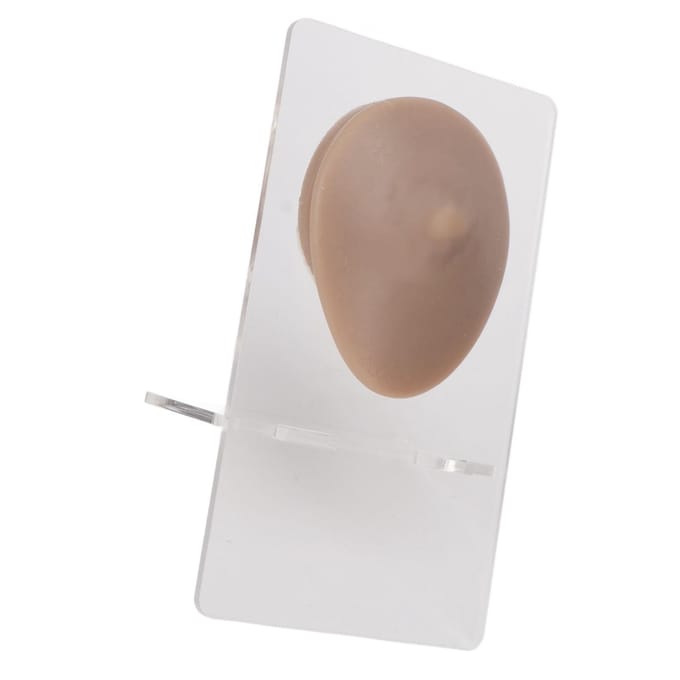 Modèle de mamelon unique en silicone souple 3D Simulation élastique Réutilisable Accessoires d'affichage Modèle de piercing corporel