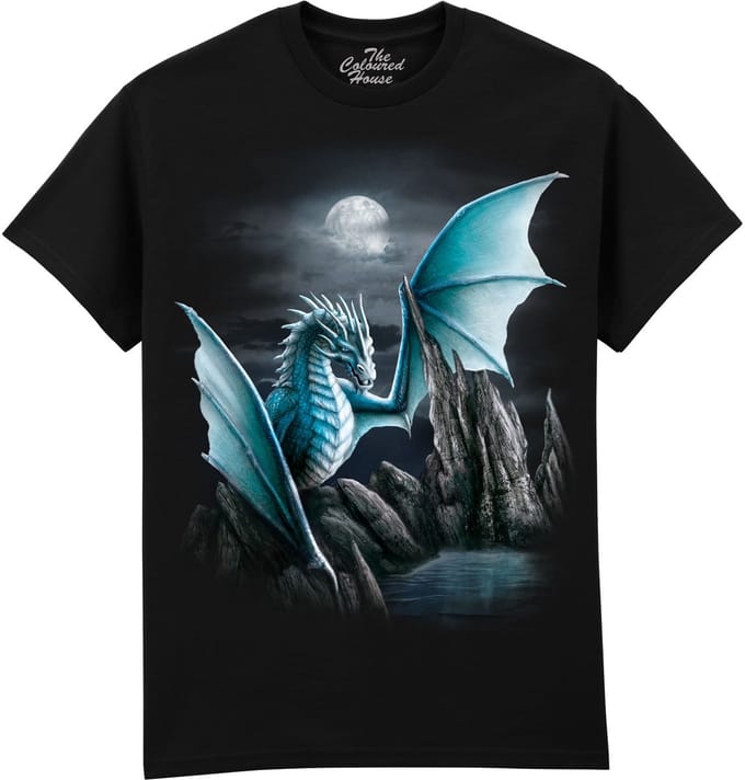Draak Cameron Dragon The Coloured House T-shirt M