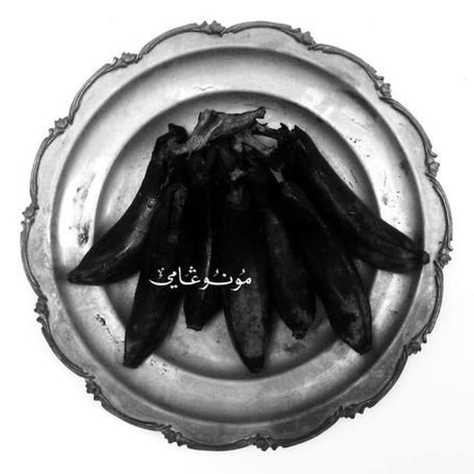 Land Of Kush's Egyptian Light Orchestra - Monogamy (2 LP)