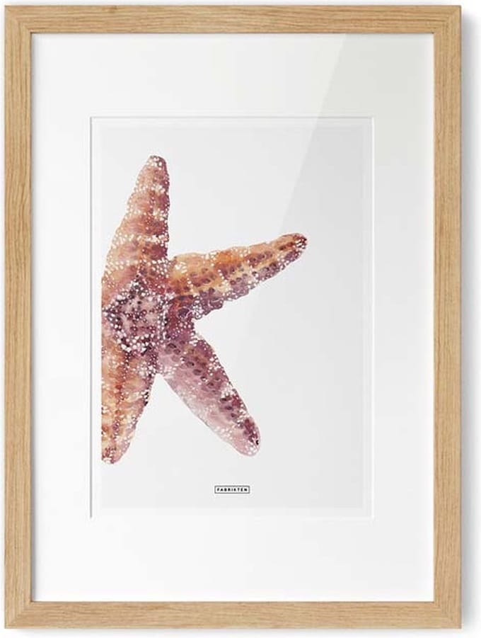 Fabrikten Poster Strand - Zeester - Crème/Oranje/Rood - A4