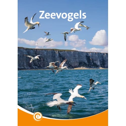 Zeevogels - Informatie - Zeger van Mersbergen