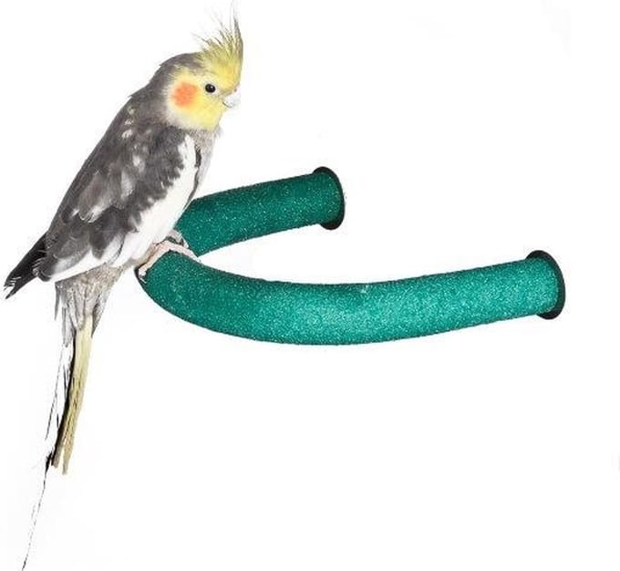 Quapas! Corner Perch Medium